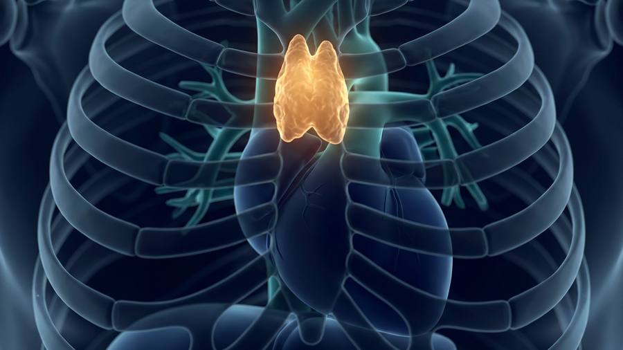 Mediastinal tumour surgery